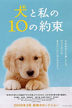 10 Lời Hứa Dành Cho Chú Chó Của Tôi
