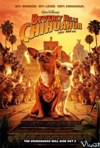 Những Chú Chó Chihuahua Ở Đồi Beverly 1